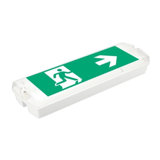 Corp Emergenta LED PT NEMO 3H Mentinut/Nementinut 3W IP65 - NOVELITE