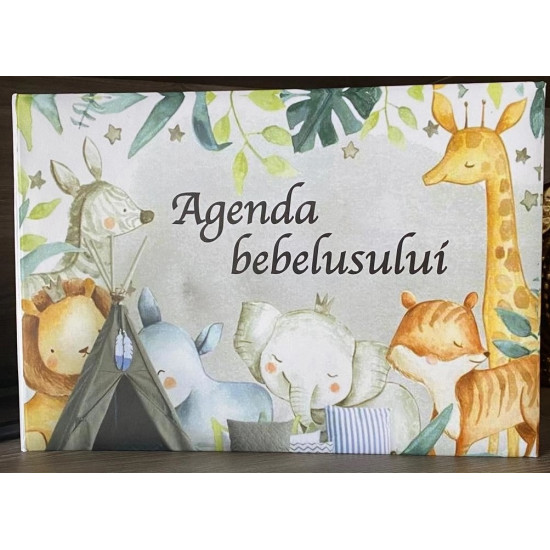 Agenda bebelusului, 54 pagini, 30 × 20 × 5 cm, multicolora