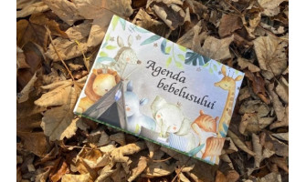 Descoperă lumea minunată a celui mic cu Agenda Bebeluşului