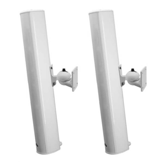 Boxe coloana 30W pe 100V DSPPA DSP255II, Exterior, Waterproof, IP66, Alb (pereche)