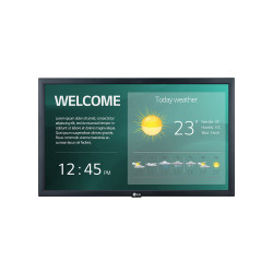 Display profesional 22", LG 22SM3N-B, 1920 X 1080 (FHD), 16 / 7