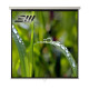 Ecran proiectie manual, perete/tavan, 300 x 300 cm, Blackmount, Format 1:1