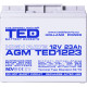 Acumulator AGM VRLA 12V 23Ah High Rate Dimensiuni 181 x 76,5 x 167 mm F3 - TED003348 (2)