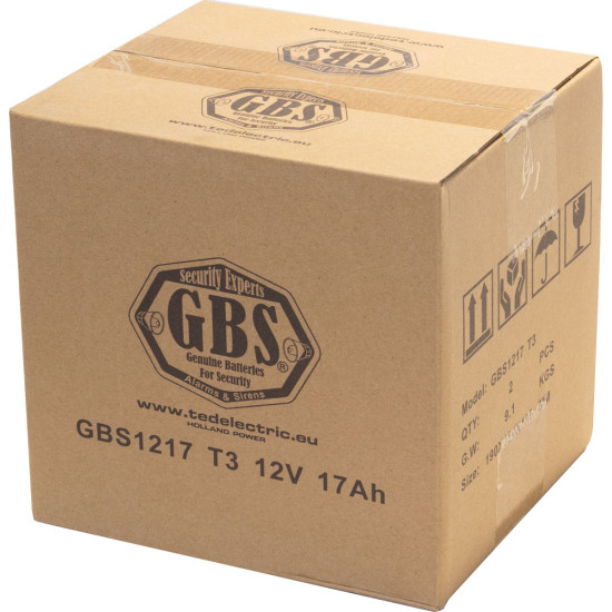 Acumulator AGM VRLA 12V 17Ah Dimensiuni 181 x 77 x 167,5 mm Sisteme Securitate F3 GBS - GBS002679 (2)