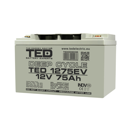 Acumulator AGM VRLA 12V 75A Deep Cycle Dimensiuni 262 x 165 x 170 mm Pentru Vehicule Electrice M6 - TED009036