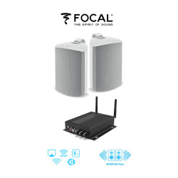 Pachet sonorizare premium de Terasa cu RAKOIT SA100 si 2 boxe FOCAL 100 OD6 Alb, WiFi Streaming, Bluetooth