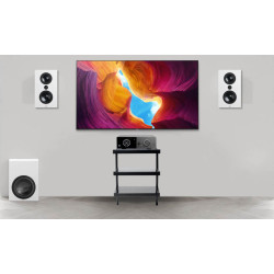 Sistem Stereo Lyngdorf TDAI-1120 + boxe de perete full-range FR-1 + Subwoofer BW-2, Alb
